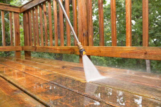 Animal Enclosure Cleaning in Prague, OK